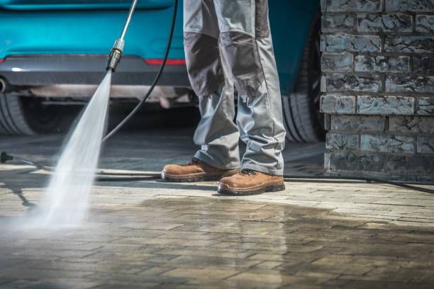 Best Fleet Vehicle Washing  in Merritt Island, FL