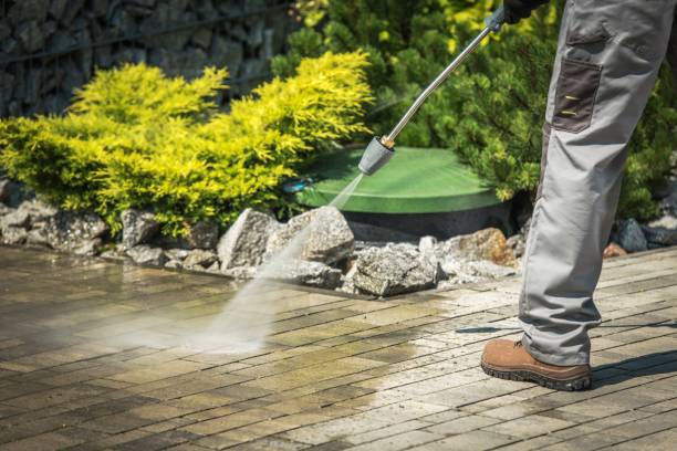 Best Driveway Pressure Washing  in Merritt Island, FL
